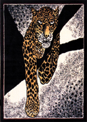 Leopard Print Area Rug