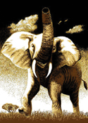 Elephant Print Area Rug