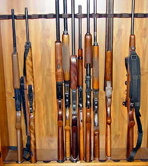 12 Gun Cabinet