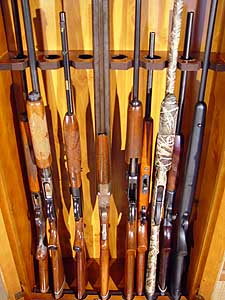 12 Gun Cabinet - Inside View