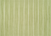 Stripes Area Rug