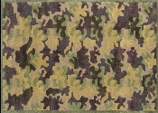 Boys Camo Area Rug #2